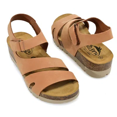 Plakton Comodoro Leather Wedge Sandals In Multi