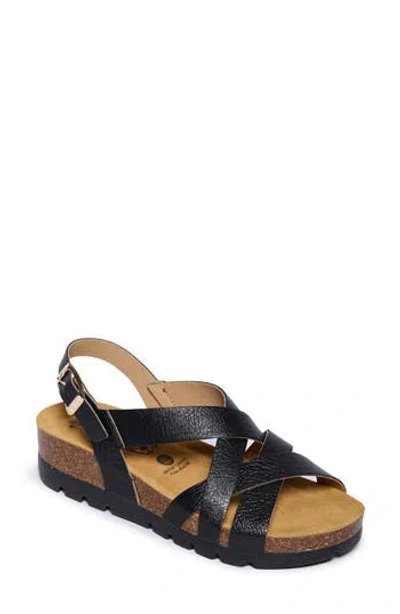 Plakton Compass Sandal In Black