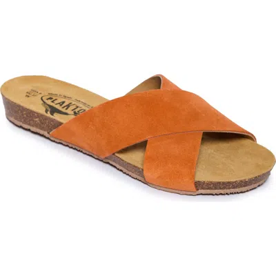 Plakton Faro Slide Sandal In Afelpado Calabaza