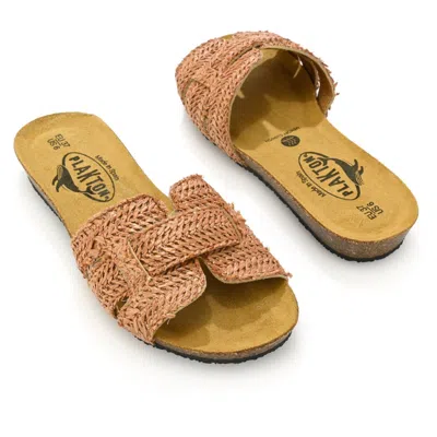 Plakton Fiji Slide-on Raffia Sandals In Multi