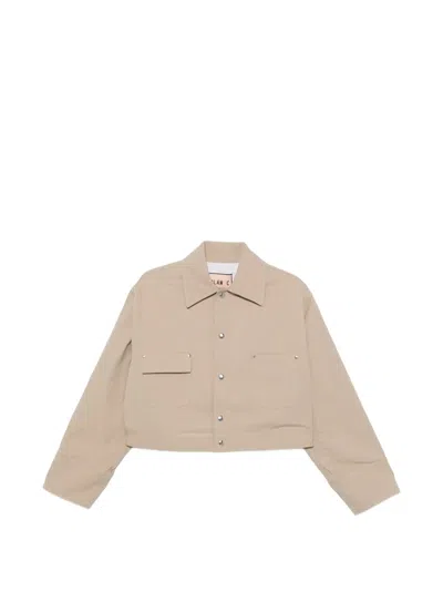 Plan C Button-fastening Jacket In Brown