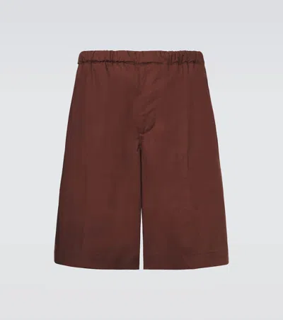 Plan C Cotton Shorts In Brown