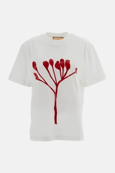 PLAN C T-SHIRT WITH PRINT
