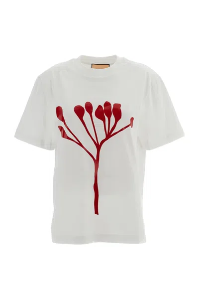 Plan C White Graphic Printed Cotton T-shirt