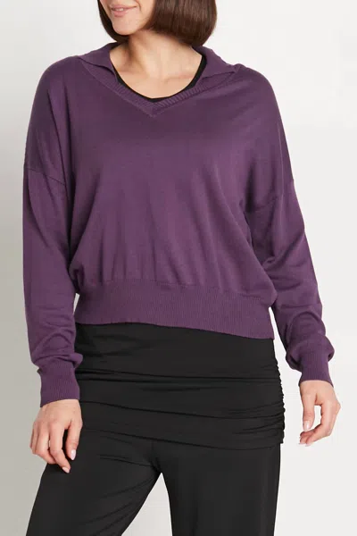 Planet By Lauren G Pima Cotton Preppy V-neck Sweater In Plum In Pink