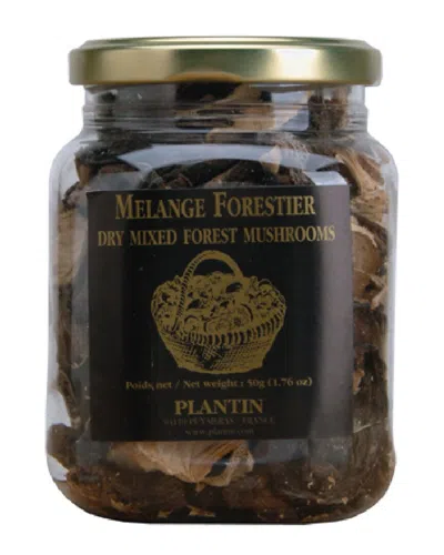 PLANTIN PLANTIN 6-PACK DRY MIX FOREST MUSHROOM