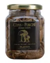 Plantin 6-pack Dry Porcini Mushroom