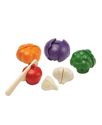 Plantoys Unisex Colors Veggie Set Years+ - Ages 0-24 Months In Multi