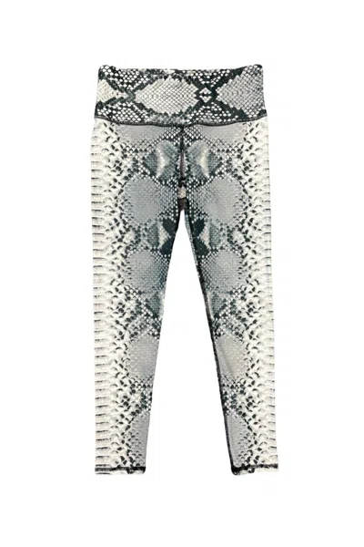 Playground Snake Print Leggings In Grey