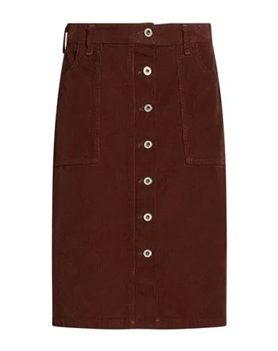 Please Woman Midi Skirt Chocolate Brown Size S Cotton, Elastane