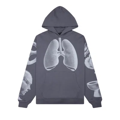 Pre-owned Pleasures Dysfunction Hoodie 'grey' | Men's Size Xxl In Gray