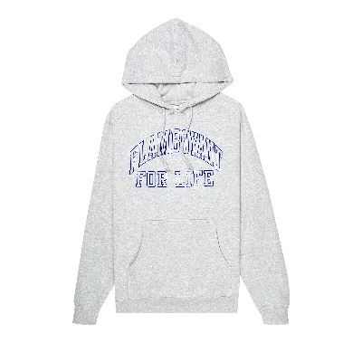 Pre-owned Pleasures Flamboyant Hoodie 'grey'