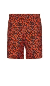 Pleasures Leopard Active Shorts