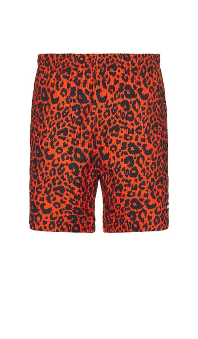 Pleasures Leopard Active Shorts In Red