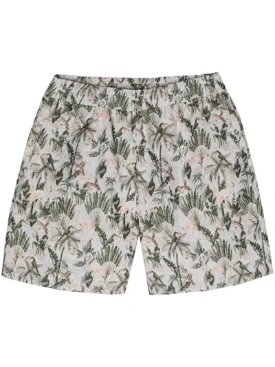 Pleasures Parrot Jacquard Bermuda Shorts In Grey