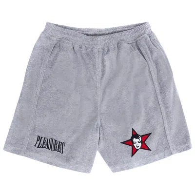 Pre-owned Pleasures Party Animal Velour Shorts 'grey' | Men's Size S