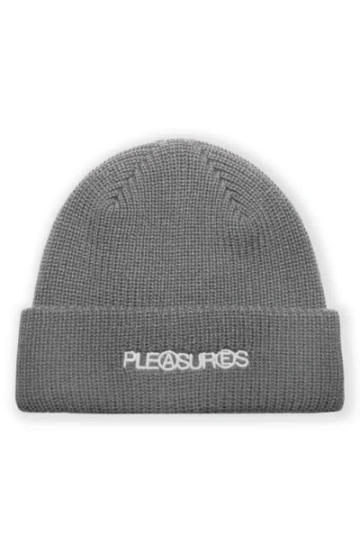 Pleasures Zine Beanie In Gray