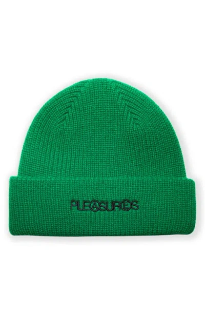 Pleasures Zine Beanie In Green