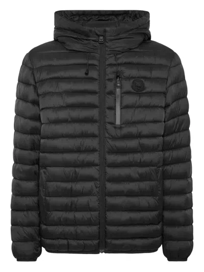 Plein Sport Bollo Tiger Quilted Hooded Jacket In Black