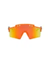 Plein Sport Tiger Frame In Multi