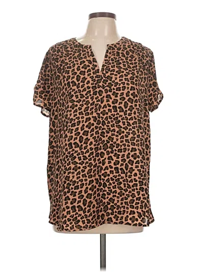 Pre-owned Pleione Short Sleeve Blouse In Brown