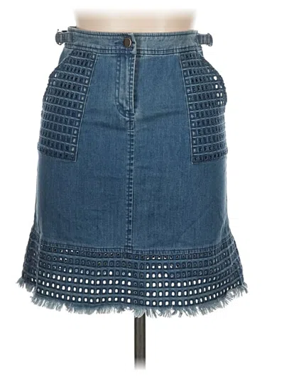 Pre-owned Plenty By Tracy Reese Denim Skirt In Blue