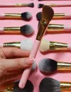 P.louise P. Louise #637 Brush