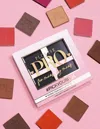 P.louise P. Louise Pro Empty Magnetic 4-pan Palette