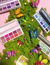 P.louise P. Louise You Give Me Butterflies Palette Bundle