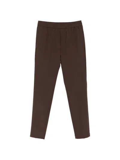 P.m.d.s Steve T.568 Elasticated-waistband Trousers In Brown