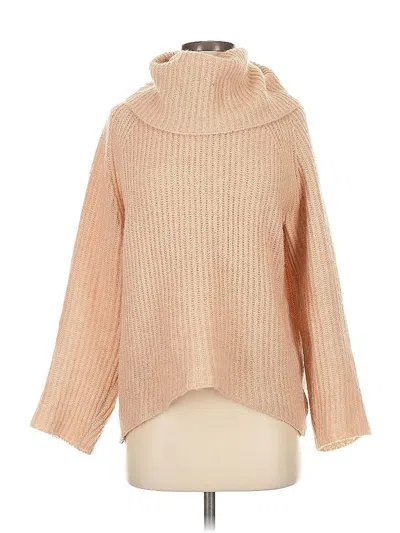 Pre-owned Point Sur Turtleneck Sweater In Brown