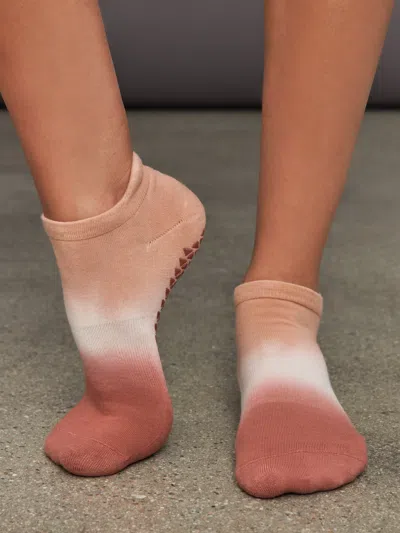 Pointe Studio The Sunset Pack In Assorted
