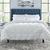 Pointehaven All Season Polyester Down Alternative Comforter In White