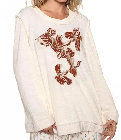 Pol Embroidered Round Neck Long Sleeve Knit Top In Cream In Neutral