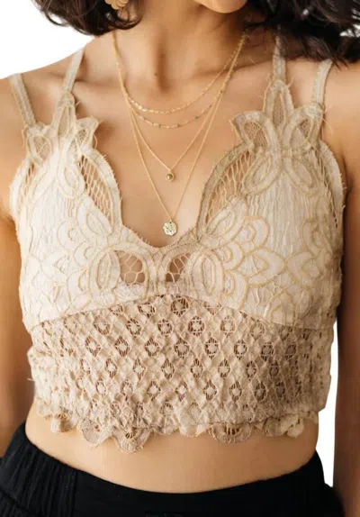 Pol Live In Lace Bralette In Taupe In Grey