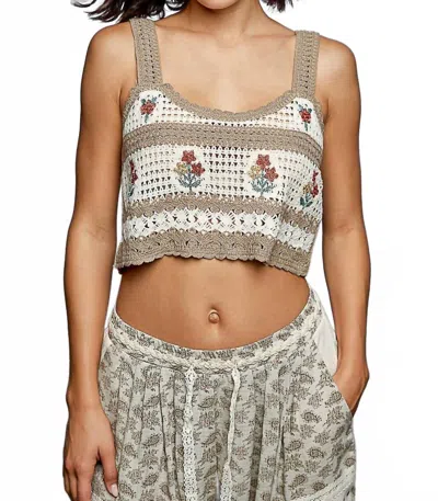 Pol Sofia Floral Embroidery Crochet Striped Crop Top In Beige In Multi