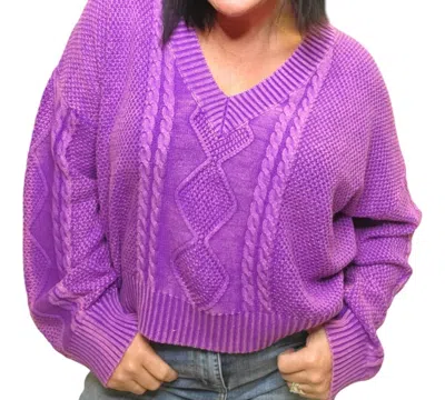 Pol Washed Sweater In Purple