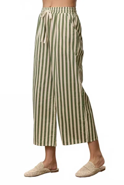 Polagram Alex Wide Leg Pants In Olive In Green