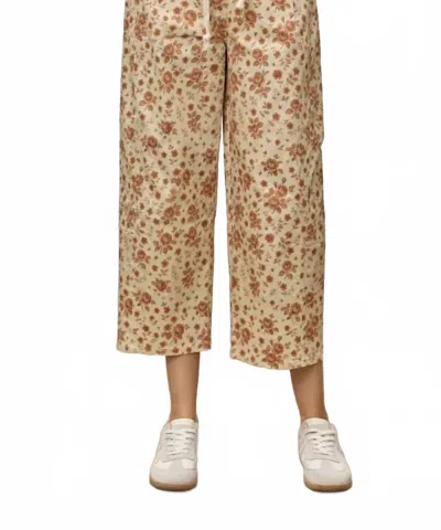 Polagram Flora Pants In Peach In Multi