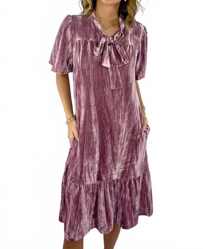 Polagram Velvet Mini Dress In Purple In Pink