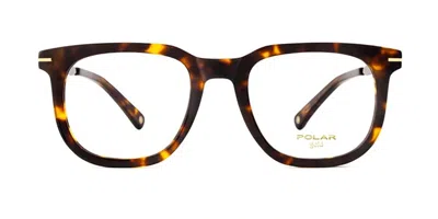 Polar 1004 428 Occhiali Da Vista Tartarugatishell Per Uomo (solo Montatura) In Brown