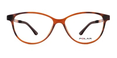 Polar 404 With Clip-on Men's Glasses, Brown, Size 53