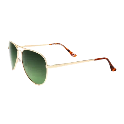 Polar 664 Sunglasses In Green