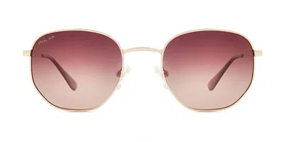 Polar 776 Ized 02/r Occhiali Da Sole Oro Per Uomo In Gold