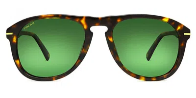 Polar Gold 101 Ized 428 Occhiali Da Sole Tartarugatishell Per Uomo In Brown