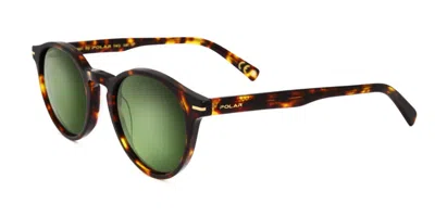 Polar Gold 111 428 Occhiali Da Sole Tartarugatishell Per Uomo In Brown