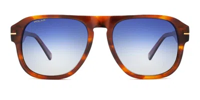 Polar Gold 197 Ized 429/q Women's Sunglasses Tortoiseshell Size 57