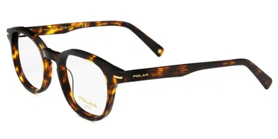Polar Gold 23 428 Occhiali Da Vista Tartarugatishell Per Uomo (solo Montatura) In Brown