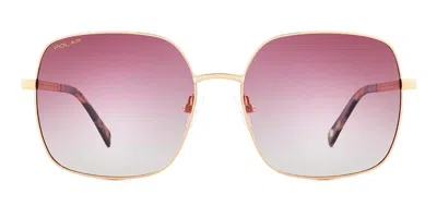 Polar Gold 306 Ized 08 Men's Sunglasses Gold Size 59