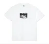 Polar Skate Co Turtle Town T-shirt In White In White